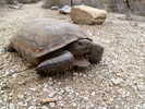 photo thumbnail #2