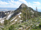photo thumbnail #12