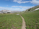 photo thumbnail #8