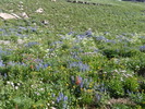 photo thumbnail #9