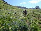 photo thumbnail #10