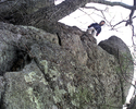 photo thumbnail #15