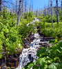 photo thumbnail #8