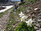 photo thumbnail #10