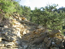 photo thumbnail #14