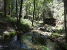 photo thumbnail #12