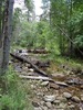 photo thumbnail #13