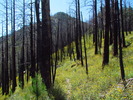 photo thumbnail #5
