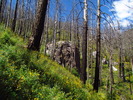 photo thumbnail #6