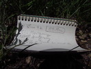 photo thumbnail #10