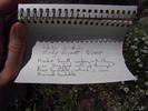 photo thumbnail #12