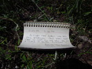 photo thumbnail #13