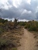 photo thumbnail #11