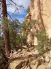photo thumbnail #10