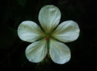 photo thumbnail #15