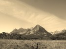 photo thumbnail #12