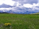 photo thumbnail #2