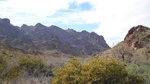 photo thumbnail #4