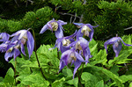 Featured Detail Photo