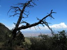 photo thumbnail #14