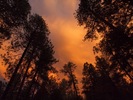 photo thumbnail #15