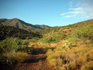 photo thumbnail #1