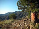 photo thumbnail #2