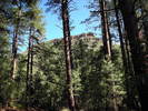photo thumbnail #7