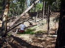 photo thumbnail #8
