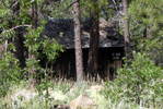 photo thumbnail #10
