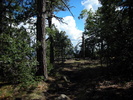 photo thumbnail #14