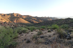 photo thumbnail #1