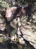 photo thumbnail #8