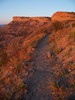 photo thumbnail #2