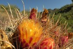 photo thumbnail #5