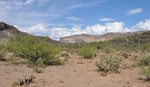 photo thumbnail #11