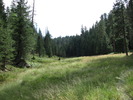 photo thumbnail #9