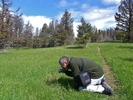 photo thumbnail #8
