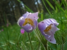 photo thumbnail #7