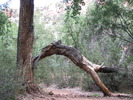 photo thumbnail #4