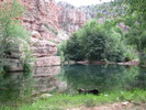 photo thumbnail #8