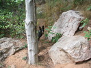 photo thumbnail #10