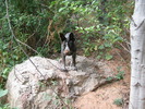 photo thumbnail #11
