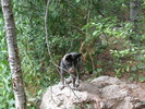 photo thumbnail #12