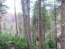 photo thumbnail #7
