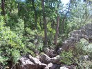 photo thumbnail #9