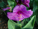 photo thumbnail #11