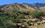 photo thumbnail #10