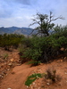 photo thumbnail #2