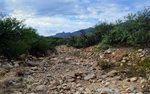 photo thumbnail #4